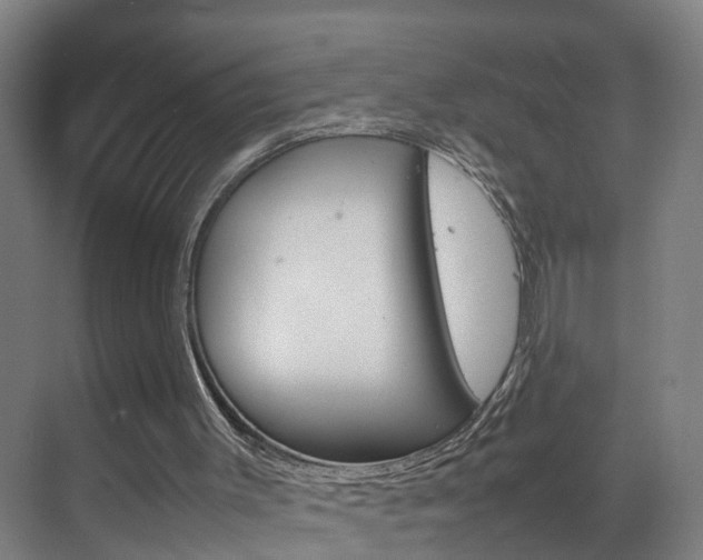 X0000070210003200605261114