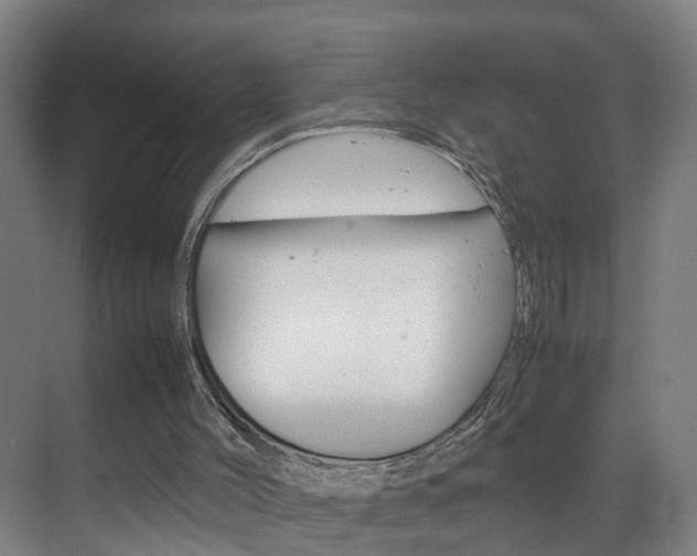 X0000070210004200605261114