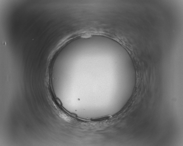 X0000070210005200605261114