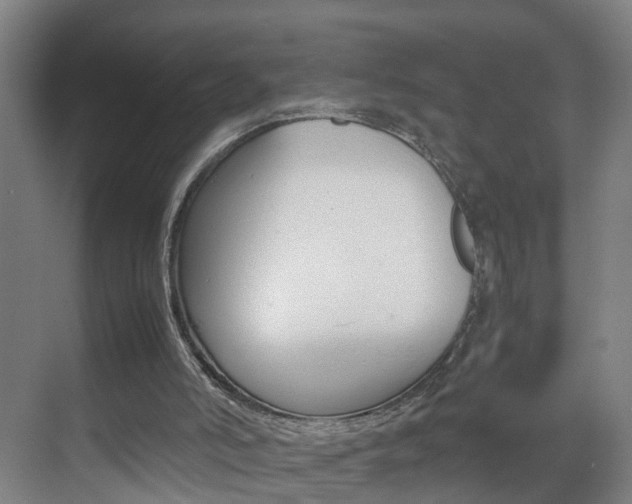 X0000070210006200605261114