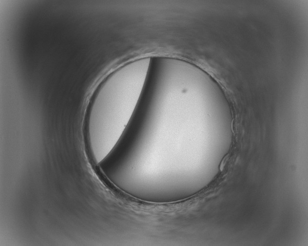 X0000070210007200605261114