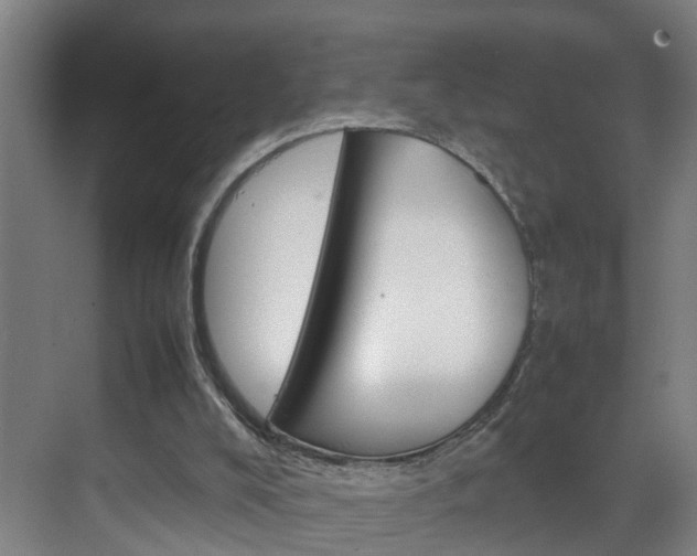 X0000070210008200605261114