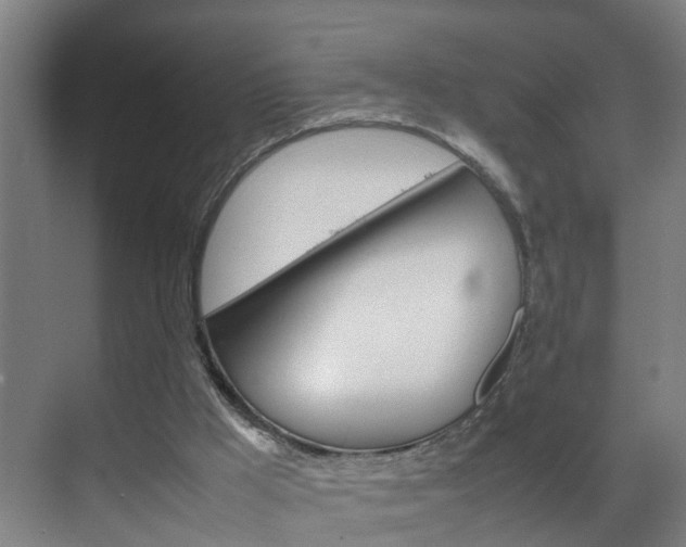 X0000070210009200605261114