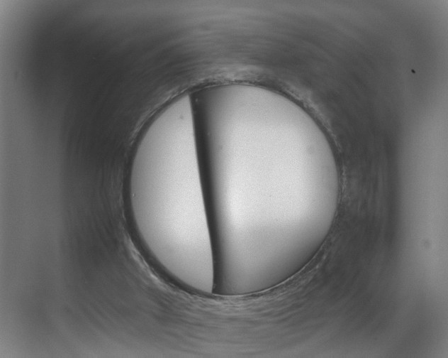 X0000070210010200605261114