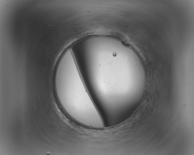 X0000070210011200605261114