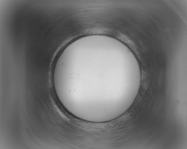 X0000070210012200605261114