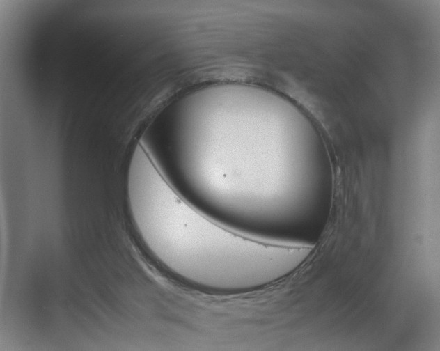 X0000070210013200605261114