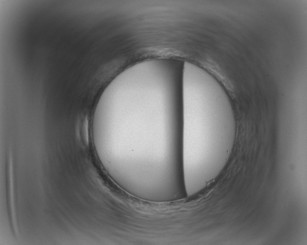 X0000070210014200605261114