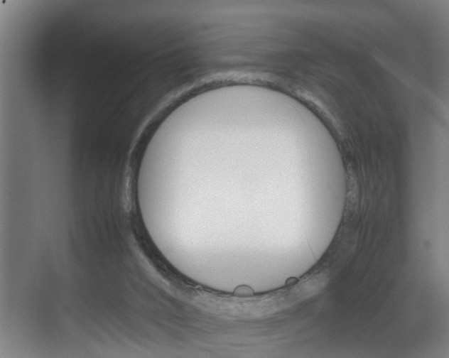 X0000070210016200605261114