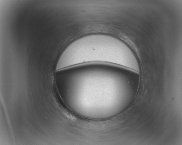 X0000070210017200605261114