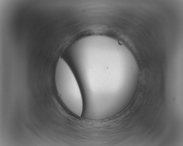 X0000070210018200605261114