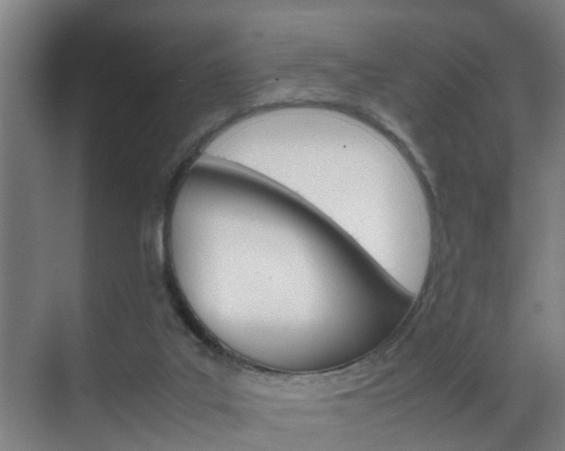 X0000070210019200605261114