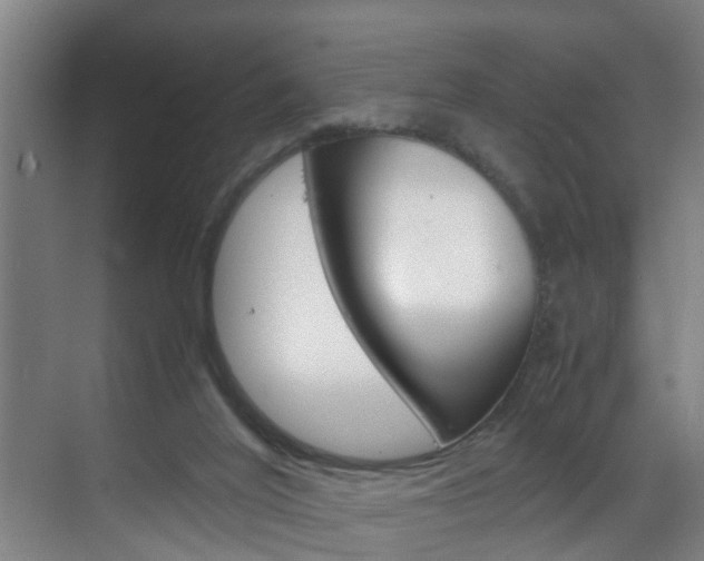 X0000070210020200605261114