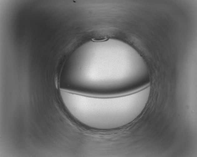 X0000070210021200605261114