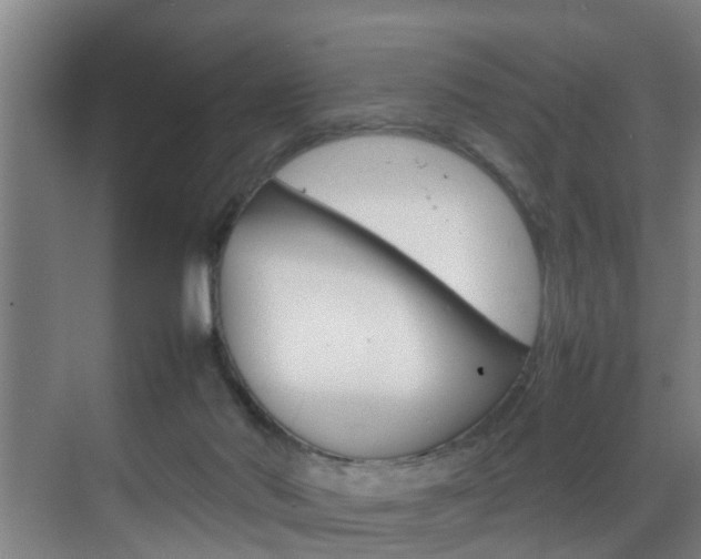 X0000070210022200605261114