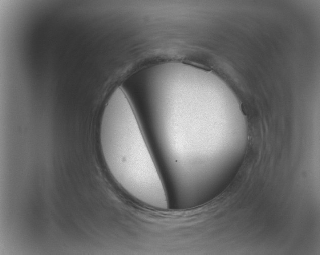 X0000070210023200605261114