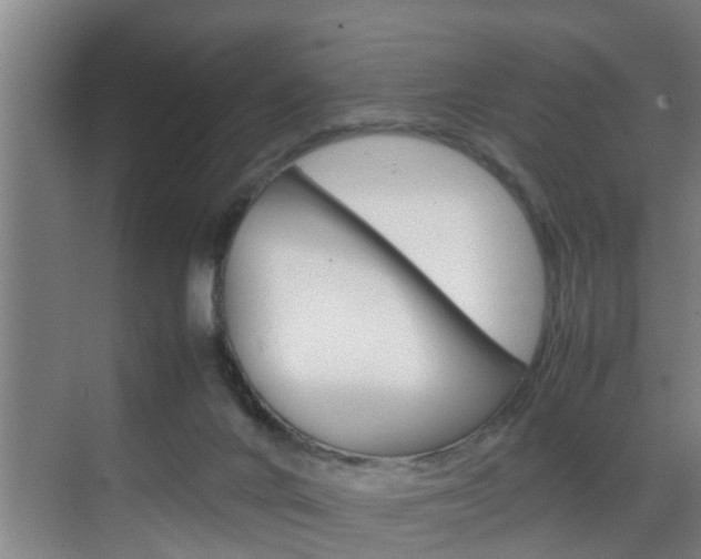 X0000070210024200605261114