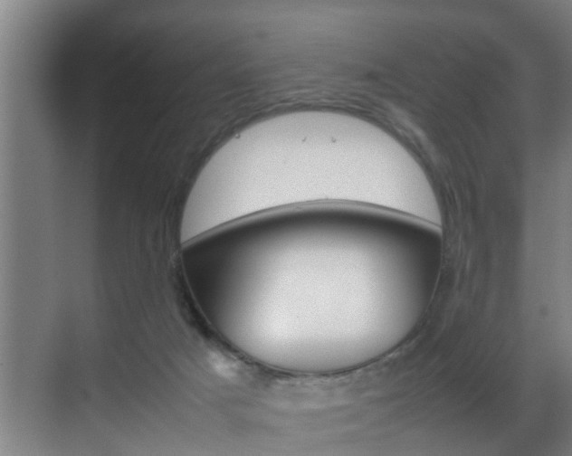 X0000070210025200605261114