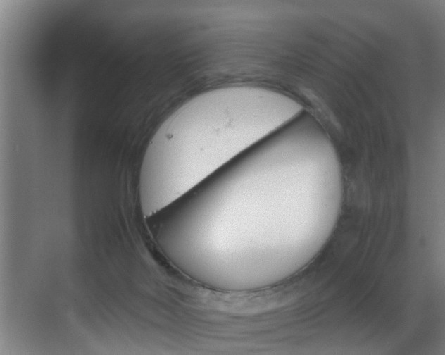 X0000070210026200605261114