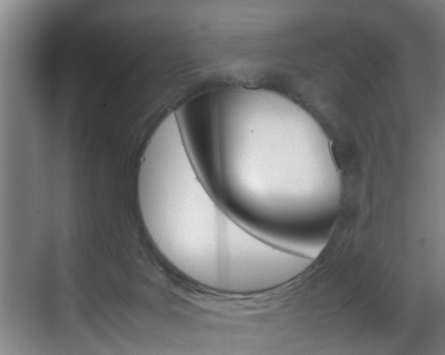 X0000070210027200605261114