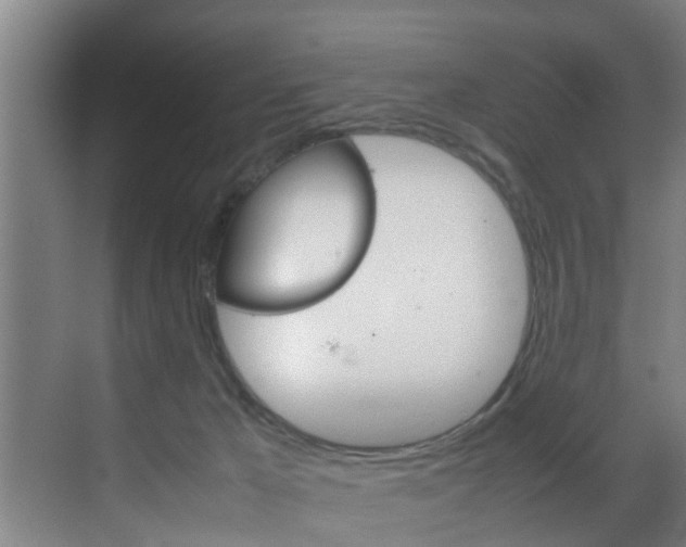 X0000070210029200605261114