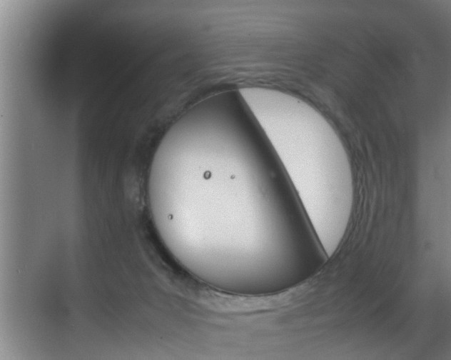 X0000070210031200605261114