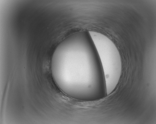 X0000070210033200605261114