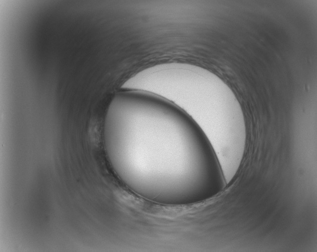 X0000070210037200605261113