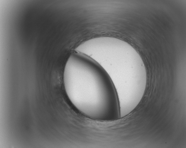 X0000070210039200605261113