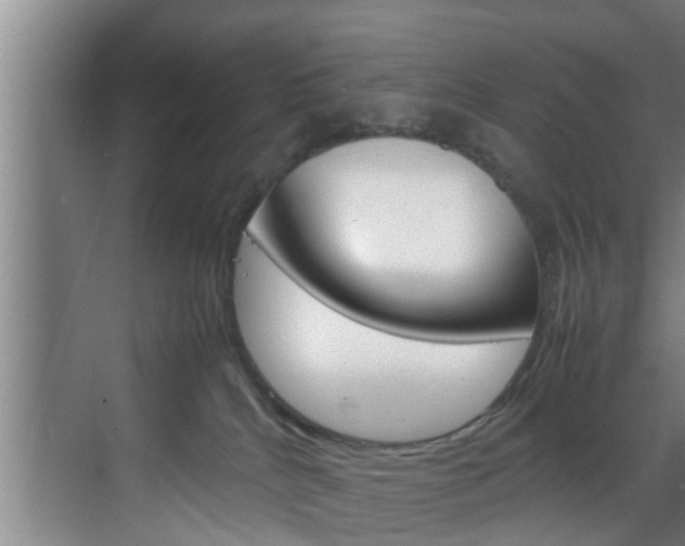 X0000070210040200605261113