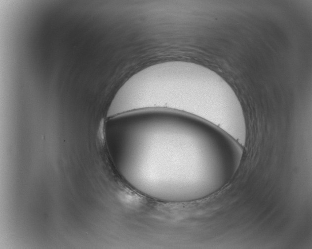 X0000070210041200605261113