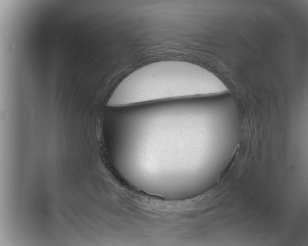 X0000070210043200605261113