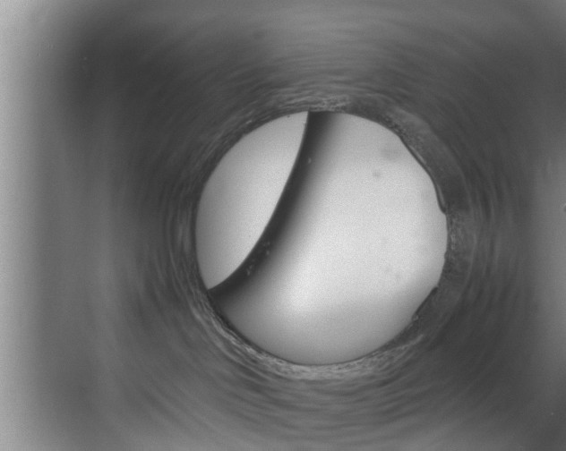 X0000070210046200605261113