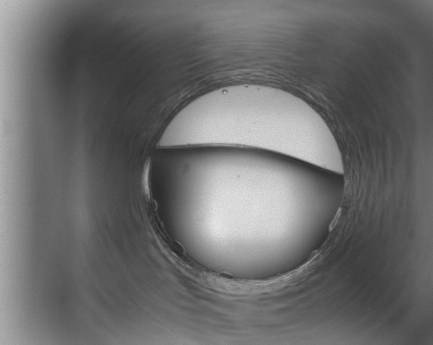 X0000070210047200605261113