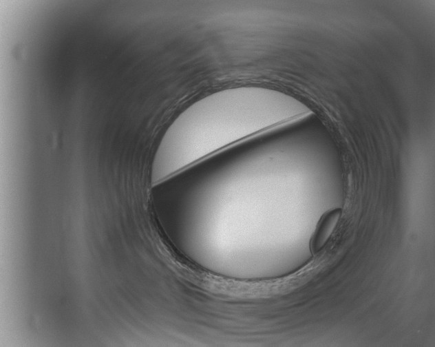 X0000070210048200605261113