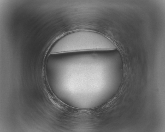 X0000070210050200605261112