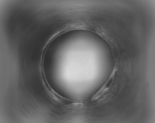 X0000070210052200605261113