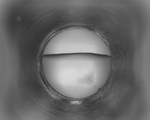 X0000070210053200605261113