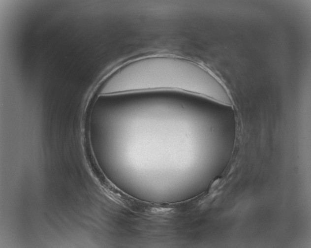 X0000070210055200605261113