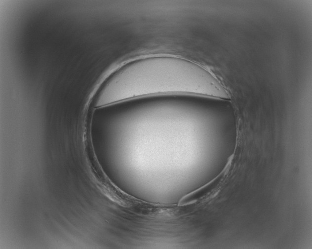 X0000070210056200605261113