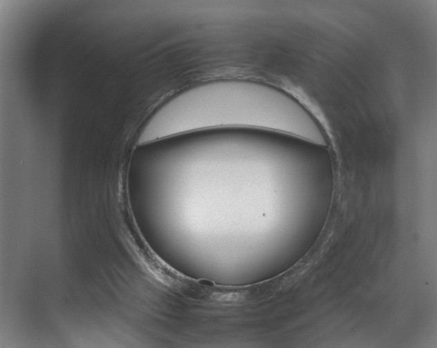 X0000070210057200605261113