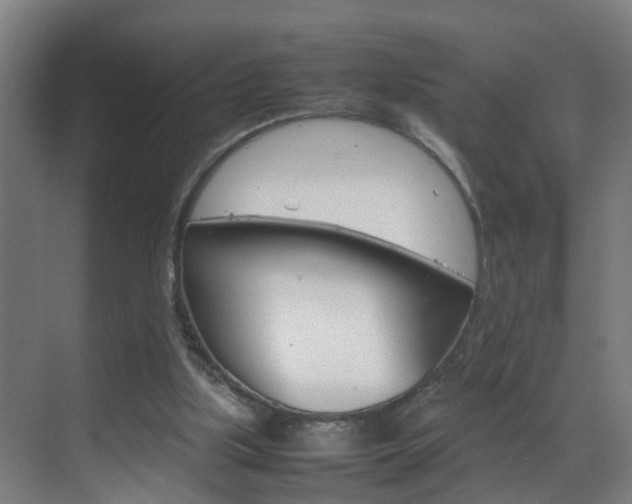 X0000070210059200605261113