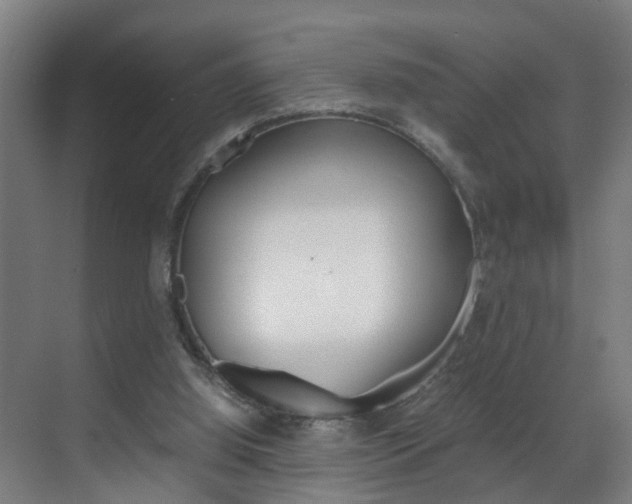 X0000070210060200605261113