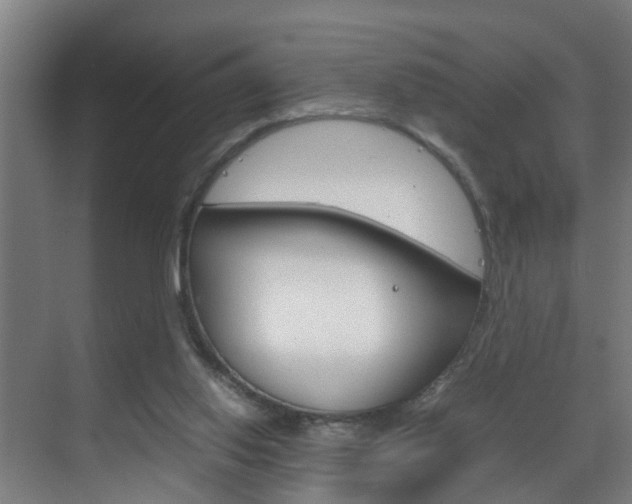 X0000070210062200605261113