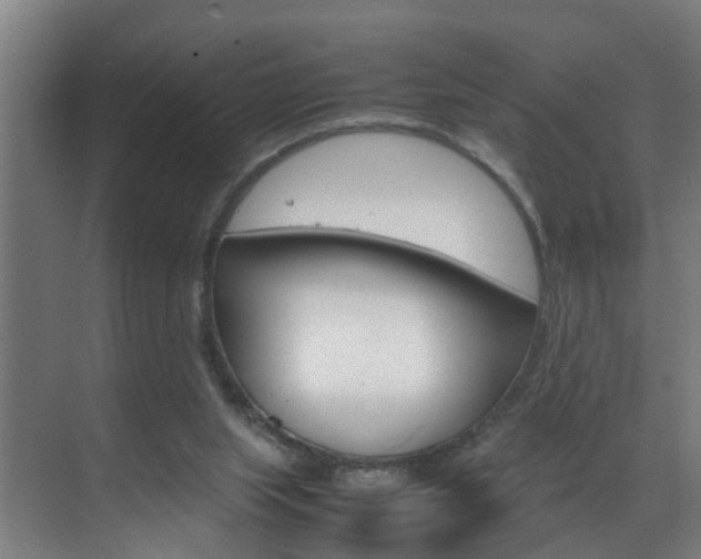 X0000070210063200605261113