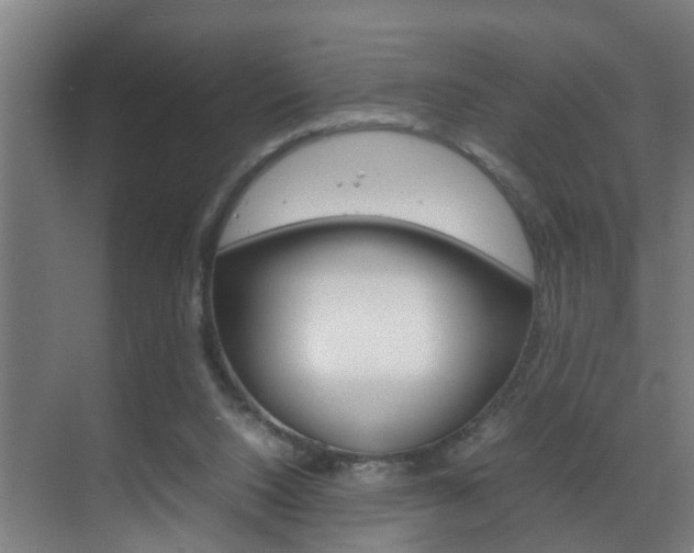 X0000070210064200605261113