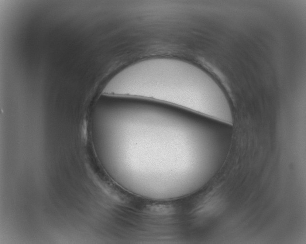 X0000070210067200605261113