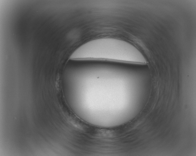 X0000070210073200605261113