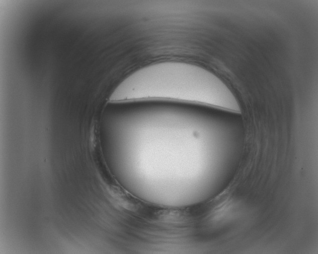 X0000070210074200605261113