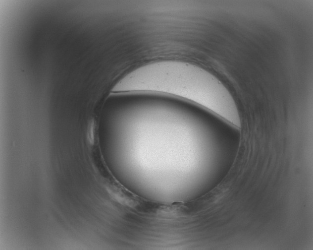 X0000070210076200605261113